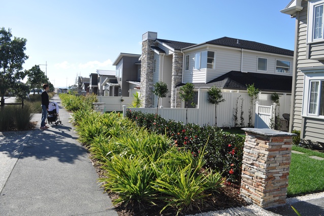 A landscaped residential street in Long Bay.