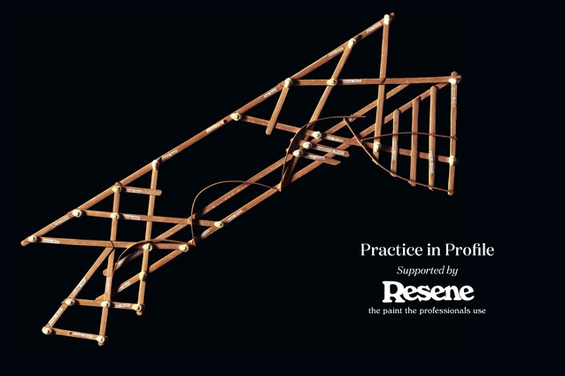 Practice in Profile, supported by Resene, sees leading architects and academics explore the industry's most pressing issues and reflect on their practice.