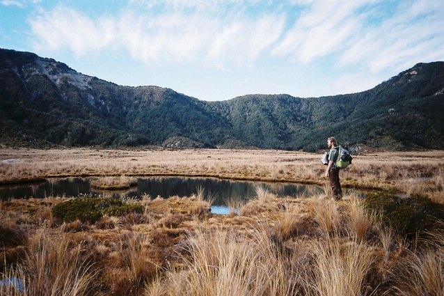 The colours depicted in the hīnaki are found throughout Kahurangi National Park.