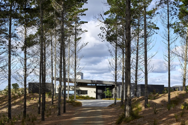 Winner, Housing: Sandiland by Studio John Irving.