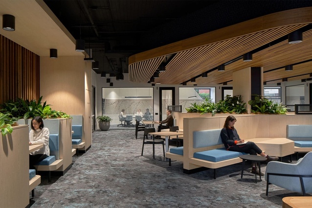 The Wurriki Nyal Civic Precinct by Cox Architecture is exemplary of modern attitudes towards workplace design, encompassing a comfort-focussed, more hotel-like aesthetic.