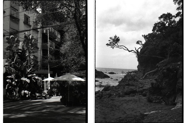 Kate’s multidisciplinary practice practice includes 35mm photography; Sunday morning in La Condesa, Mexico City; the Aotearoa’s East Coast.