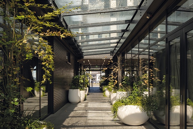 https://architecturenow.co.nz/articles/a-polite-new-neighbour/