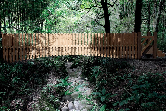 The bridge at Longbush Ecosanctuary, Gisborne (2018) in collaboration with Dr Sarosh Mulla.