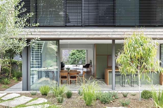 Cooks River House complements the character of suburban Sydney yet feels like a mountain escape.