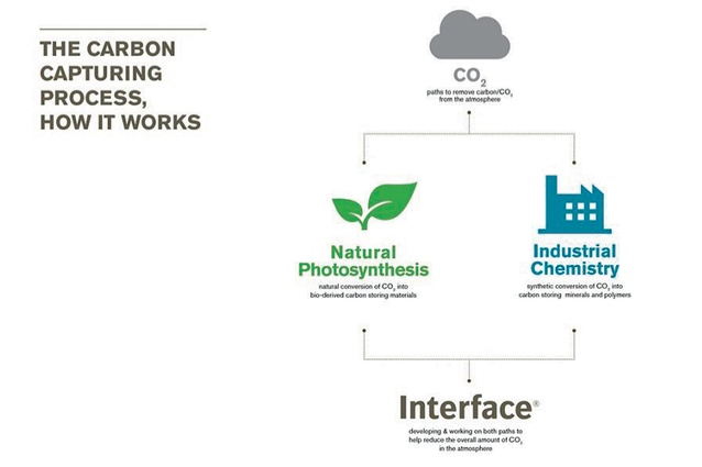 Some methods of carbon sequestration mimic and assist natural processes.