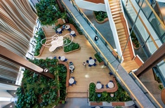 Outside In wins eight honours at International Plantscape Awards