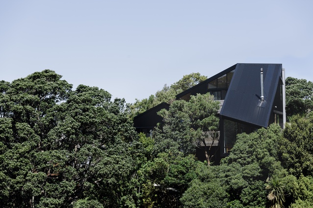 The 135sqm Stealth Bomber nestles into a bushy hillside site in inner-city Wellington. Completed 2016.