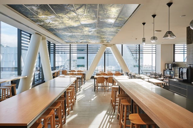 Deloitte’s staff lunch room faces north and has a distinct Scandinavian feel.