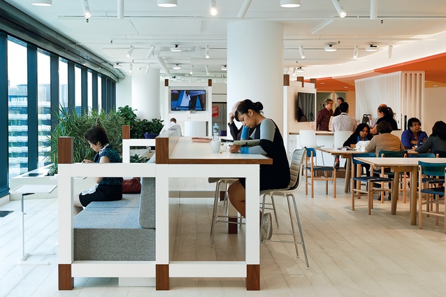 Post-occupancy studies report that seventy percent of staff say they feel healthier.