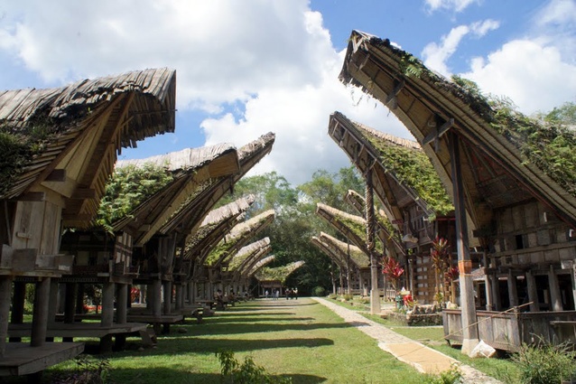 <em>Tongkonan</em>, the striking ancestral structures of the Torajan people in South Sulawesi, Indonesia, have a distinguishing oversized saddleback roof. The internal space is small and cramped, but daily life is mainly lived outside.