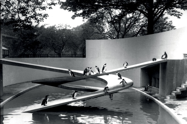 Penguin Pool, London Zoo, 1934.