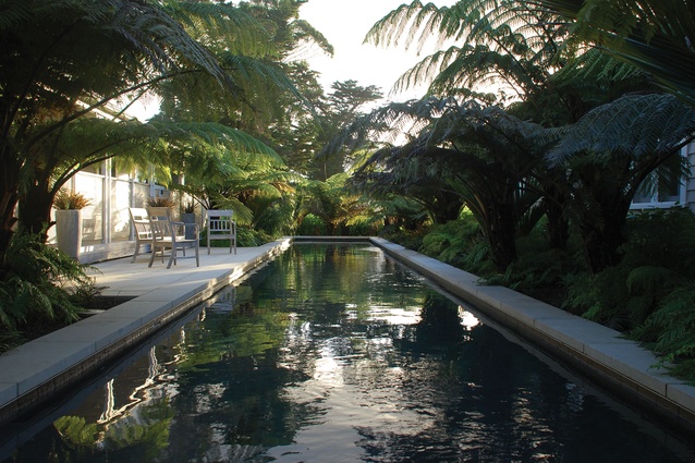The homestead's pool and fernery.