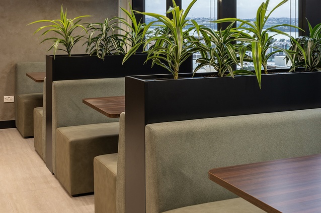 Communal areas in the 12th-floor space feature high-quality fabrics and finishes. 