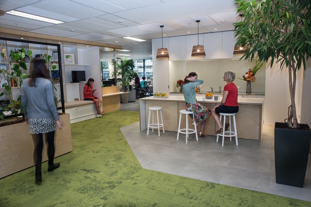 The interior of the NZGBC office in central Auckland holds a 5 Green Star Interior rating.