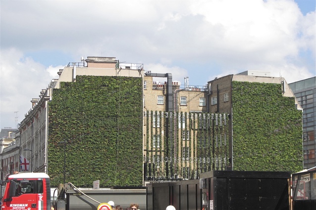 The massive Palace Hotel living wall, London. Built in 2013, the wall's unique design enables it to capture rainwater from the roof of the building in dedicated storage tanks.