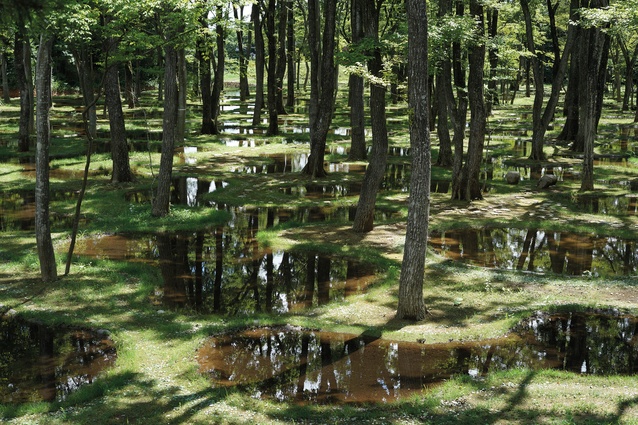The Art Biotop Water Garden project in Tochigi, Japan.