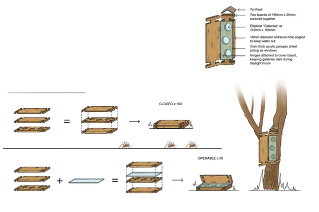 Putaputawētā by Clara Hanssen, Jade Myburgh and Brendan Buckle, all of the University of Auckland.