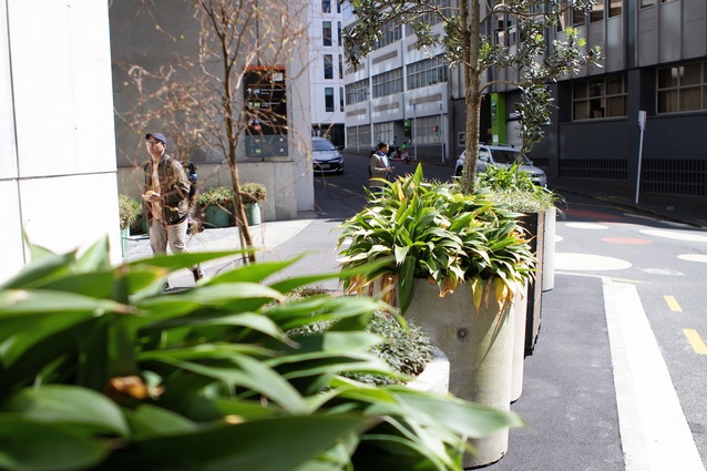 AUT students incorporated plenty of planting in the redesign of their backyard.