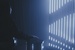 Darklight: a landmark moment set to play out on Auckland’s waterfront