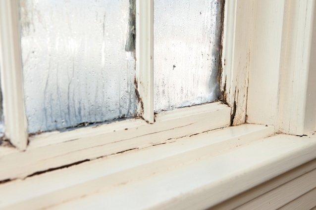 A rotting windowframe, prevalent inside many Kiwi homes.