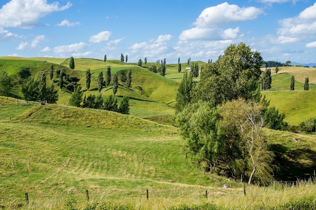 The four key issues prompting the RMA reform were:  the pressure our natural environment is under; urban areas struggling to keep pace with population growth; an urgent need to reduce carbon emissions and adapt to climate change, and the need to ensure Māori have an effective role in the system.