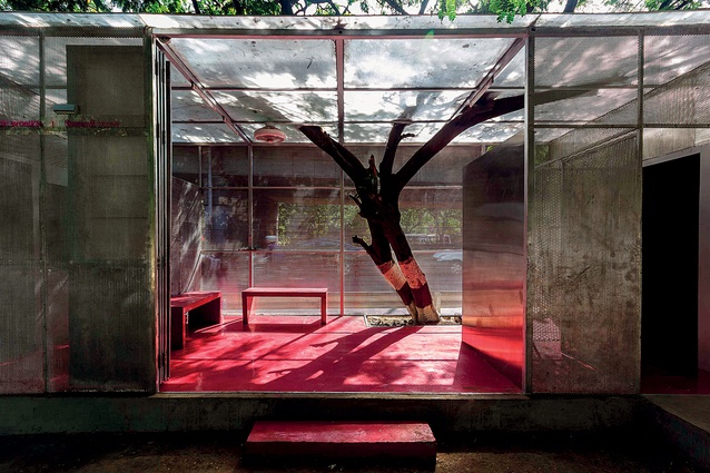 Rohan Chavan’s The Light Box rest room in Mumbai is constructed from an old shipping container and sited under an overhanging tree.