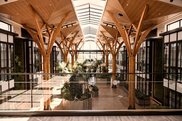 Outside In created a wintergarden for the atrium of the new boutique retirement village, Rawhiti Estate.