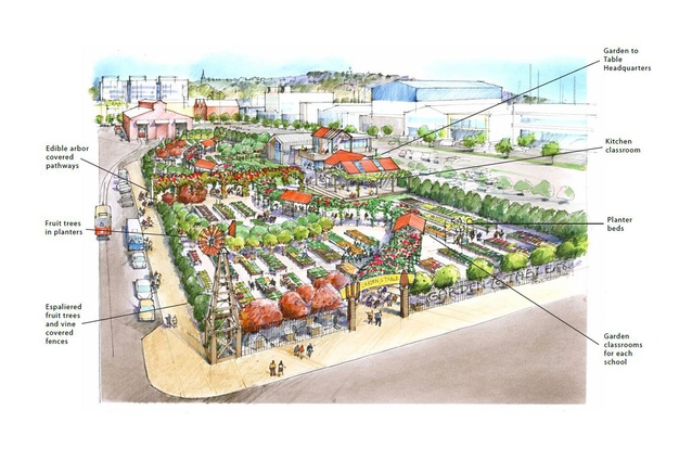 Initial concept plans show an extensive edible garden area with kitchen classroom facilities.