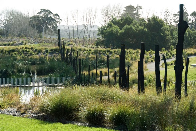 Hobsonville Point Park, by Isthmus, received an NZILA Award of Distinction. 