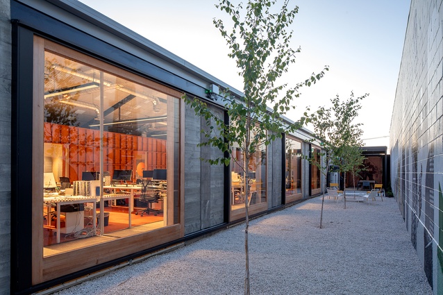 Outdoor space, where trees were planted to foster a continuous connection to nature. 