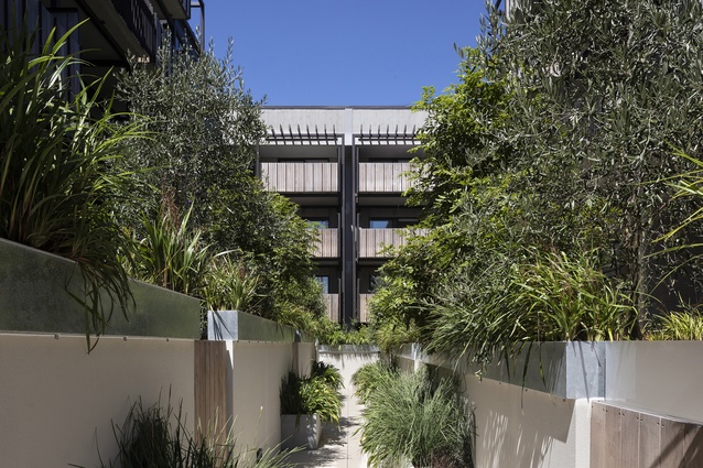 Winner: Housing – Multi Unit – Botanica by Peddle Thorp.