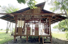 Reflections from COP30