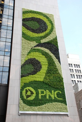PNC Bank living wall in Pittsburgh, USA. Installed in 2009, the panels have been proven to reduce the temperature of the building and includes many regional plants.