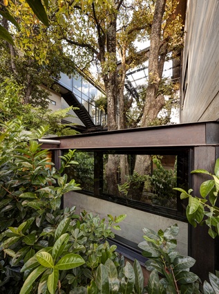 Carefully considered orientation and established greenery allow private spaces to open out to nature. 