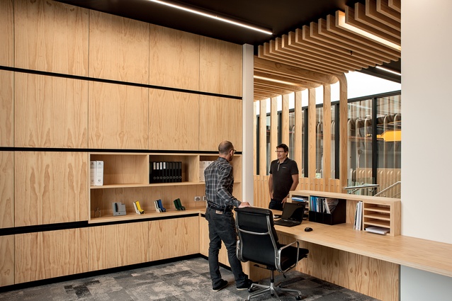 Plywood finishes in the first-floor reception area express warmth and utility.
