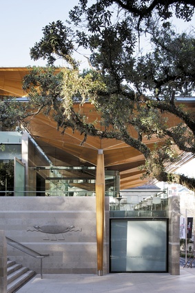 The sculptural canopy shelters the
outdoor spaces and entry. 