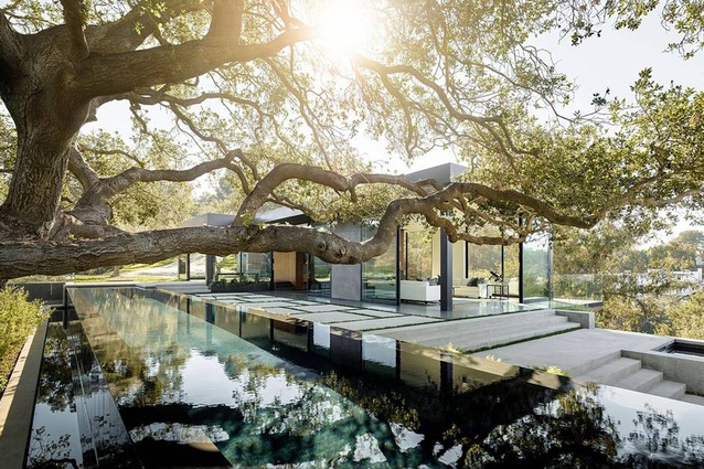 Oak Pass House is designed by Noah Walker. A 22m-long infinity pool glides under one of the largest oaks on the property. 