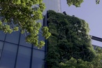 The compelling case for green roofs and walls: Part 2, commercial, social, and political