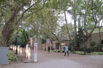 Snapshot of Biennale Giardini