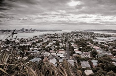 Auckland Draft Plan roundtable discussion