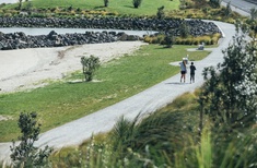 Restoration and harmony: Taumanu Reserve