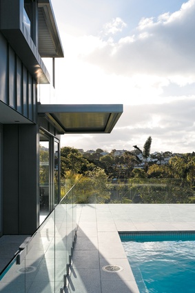 The zinc-clad house contrasts with the familiar Remuera house types.