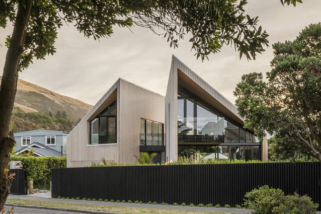 Winner - Housing: Sumner House by RTA Studio.
