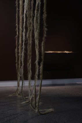 Raranga taura kūtai features taura (mussel ropes) woven by Tanya Reihana White with the support of John Kaulima-Panapa and members of Ngāti Whātua Ōrākei weaving rōpū, Te Puāwai. Installation view in <em>Pohewa Pāhewa: a Māori design kaupapa</em>.