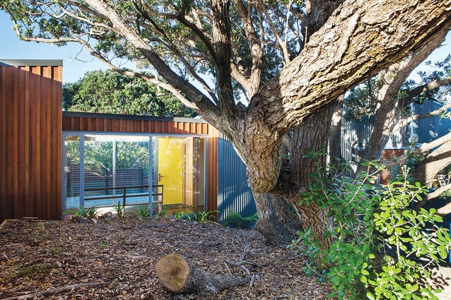 The home is constructed around a põhutukawa tree. 