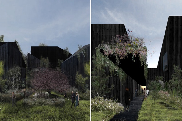 The Prairie Houses, a medium-density proposal in Freeman’s Bay, near Tāmaki Makaurau’s city centre. “A collection of dark, charred black objects sinking into an overgrown landscape.”