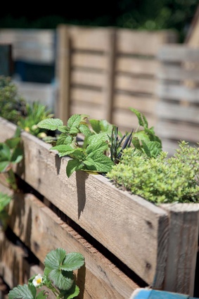 Pallet planters are a feature of the space. 