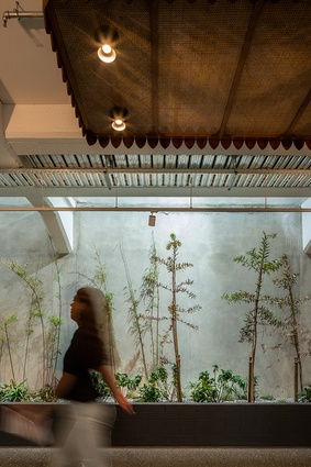 A living wall of flora is intended to purify the air and lift staff members’ spirits.