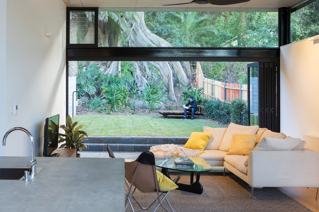 The full-height glass doors frame the heritage-listed Moreton Bay fig tree.